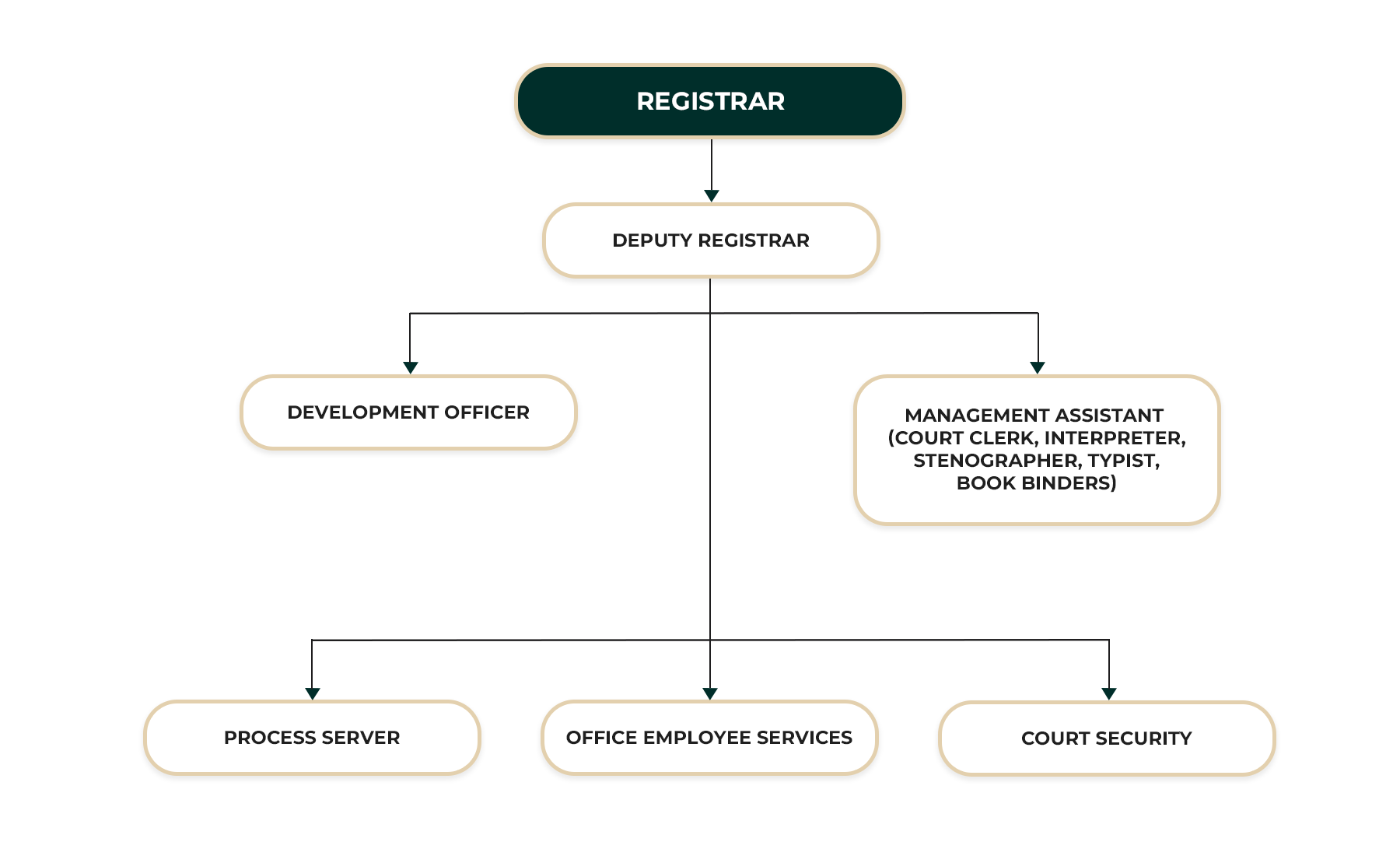 District Court Kalmunai ORGANIZATIONAL STRUCTURE